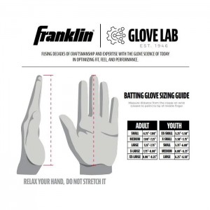 フランクリン FRANKLIN CFX PRO クローム バッティンググローブ(両手用) 野球 バッティング 手袋 バッテ 手袋 24SS(20576/20597)