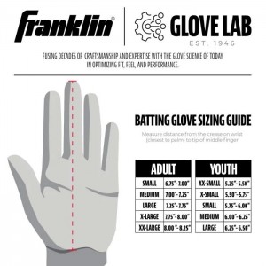 フランクリン FRANKLIN CFX PRT バッティンググローブ(両手用) 野球 バッティング 手袋 バッテ  手袋 プロ メジャー 24SS(20680/20681/20684)