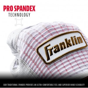 フランクリン FRANKLIN バッティンググローブ(両手用)PRO CLASSIC 野球 バッティング 手袋 バッテ  手袋 プロ メジャー 23SS(20964)