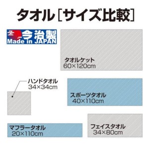 ミズノ MIZUNO今治製タオル ジャガードフェイスタオル(箱入リ)トレーニングウェア タオル(32JY1113)