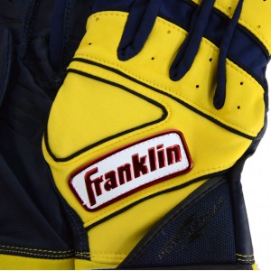フランクリン FRANKLIN AMECOMI アメコミ(両手用) 展示会限定 野球 バッティング テブクロ バッテ 手袋 23SS(AMECOMI)