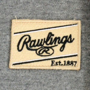 ローリングス Rawlings パッチロゴスウェットパーカーシャツ(裏起毛) オーダー 野球 ウェア スウェット 練習 限定 22FW(AOS12F04 LOGO)
