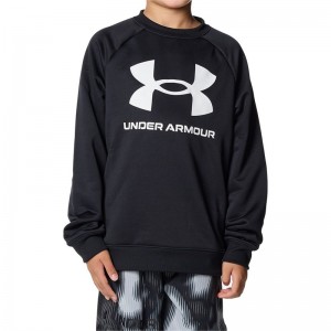 underarmour(アンダーアーマー)33UAテック テリー ロゴ クルーマルチSP スウェットトレーナー(1381171-001)