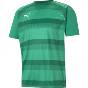 puma(プーマ)TEAMVISION フープ ゲームシャツサッカー 半袖Tシャツ(705154-05）