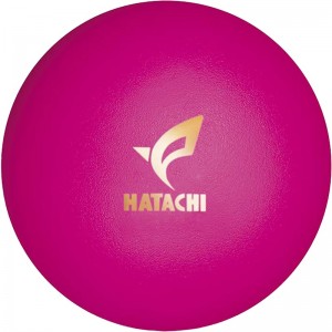 hatachi(ハタチ)GG ボールウィン4Gゴルフキョウギボール(bh3433-64)