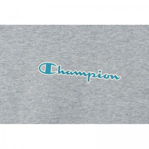 champion(チャンピオン)SHORT SLEEVE T-SHIRTMENS BASICウェア(メンズ)c3-z346-070