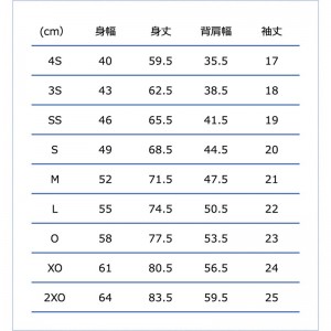 converse(コンバース)4FPショートスリーブTバスケットTシャツ M(cb231323-1900)