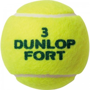 DUNLOP(ダンロップ)ダンロップ・フォート硬式テニスボール硬式テニスボールDFFYL2TIN