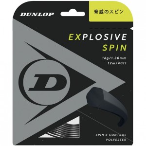 ダンロップテニス dunlopEXSPIN ST DST11001テニス硬式 ガット(dst11001-079)