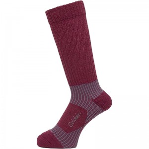 c3fit(シースリーフィット)A/S TREKKING SOX(Mボディケアソックス(gc23381-ma)