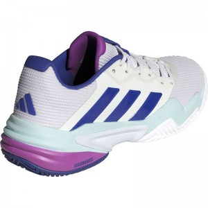 adidas(アディダス)バリケード 13 テニス / Barricade 13 Tennisテニス オールコートＭ(if9129)