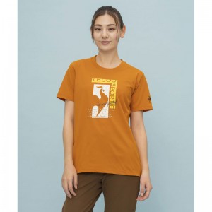 ヘランカ半袖Ｔシャツle coq sportifトレーニング半袖Ｔシャツ(LT4FHT00L)