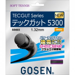 ゴーセン GOSENソフトテニス ストリングス テックガット5300ブラックテニスソフト ガット(SS603BK)