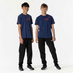 ミズノ MIZUNO抗菌防臭/防汚 GACHI Tシャツ ジュニアジュニア キッズ ウエア(32JAB949)