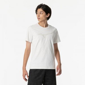 ミズノ MIZUNOソフトドライTシャツトレーニング メンズ Ｔシャツ32MAB026