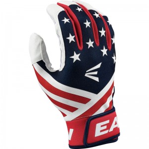 イーストン EASTONMAV GT BATTING GLOVESバッティンググラブ USA 24SSMAVGTBGJ