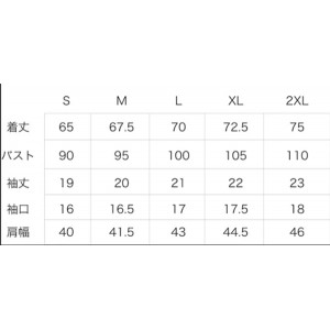 アクティブーム ACTIVEM トクサンTVコラボ ペイズリー柄Tシャツ 半袖 野球 インナーシャツ AMJ 吸汗 速乾 軽量 24AW(ﾍﾟｲｽﾞﾘｰｶﾞﾗTｼｬﾂ)