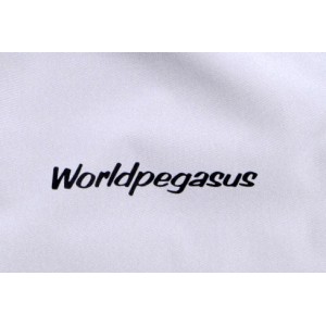 ワールドペガサス Worldpegasus 薄手・軽量パンツ（ロング）野球 ウェア トレーニングウェア 24SS(WAP410P)