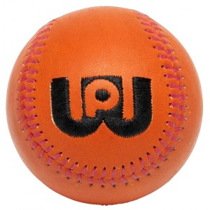 ワールドペガサス Worldpegasus グラブポケット成型ボール 野球 グラブアクセサリー 22SS(WEGGPF2)