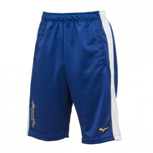 ミズノ MIZUNOミズノプロ ウォームアップハーフパンツ 野球 ベースボール トレーニングウェア19SS(12JD9H03)