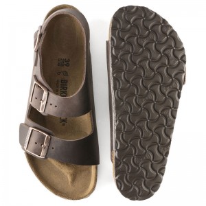 ビルケンシュトック BIRKENSTOCK Milano / ミラノ (レギュラー) スポーツ カジュアルサンダル ビルケン 24SS (34871)