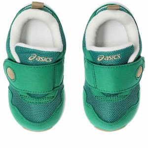 ＧＤ．ＲＵＮＮＥＲ　ＢＡＢＹ　ＬＯ　３asicsSUKU2シューズ（キッズ）(1144A245)