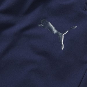 PUMA(プーマ)TEAMLIGA トレーニング ハーフパンツサッカー ウェア トレーニングパンツ(658018)