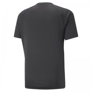 PUMA(プーマ)TEAMLIGA グラフィック SSシャツサッカーウェアTシャツ658686