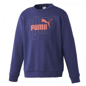 PUMA(プーマ)GRAPHIC CREW TRスポーツスタイルウェアスウェットシャツ677735