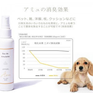 【ロット販売：入り数12】ROYAL(ロイヤル)Eau de Amuletto 高機能イオン水除菌消臭スプレーマルチスポーツ グッズ その他(74250000)