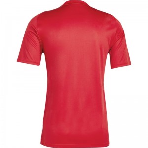 adidas(アディダス)43 TIRO24トレーニングシャツサッカープラクティクスシャツ(hej10-is1016)