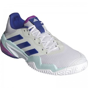 adidas(アディダス)バリケード 13 テニス / Barricade 13 Tennisテニス オールコートＭ(if9129)