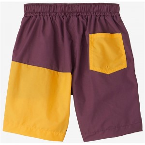 speedo(スピード)BOYS SHORTS水泳 水着 MJ(slb42304-ls)