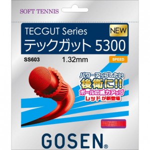ゴーセン GOSENソフトテニス ストリングス テックガット5300 レッドテニスソフト ガット(SS603RE)