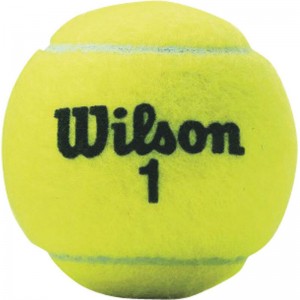 WILSON(ウイルソン)チャンピオンシップ エクストラ デューティー硬式テニスボール硬式テニスボールWRT100101W