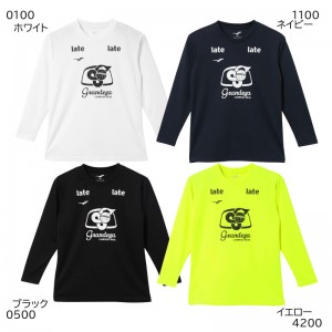 フィンタ FINTA JR GDZ L/SプラＴシャツ サッカー フットサル ウェア プラシャツ ジュニア 24FW (FT4356)