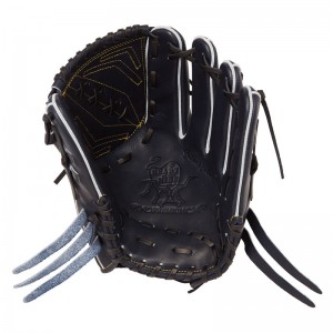 ローリングス Rawlings硬式 HOH プレミアム A15W Vブラックグラブ RGGC限定 24AWGH4FHPA15W