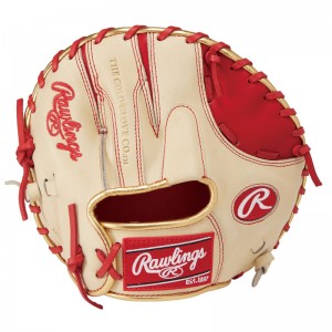 ローリングス Rawlings硬式ゲーマートレーニング GT2 CAM/SCトレーニング用グローブ 24AWGH4GT2