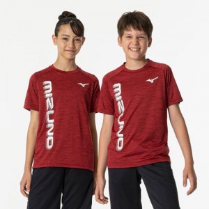 ミズノ MIZUNOGACHI Tシャツジュニア キッズ ウエア32JAB420