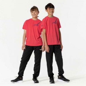 ミズノ MIZUNO抗菌防臭/防汚 GACHI Tシャツ ジュニアジュニア キッズ ウエア(32JAB949)