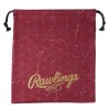 ローリングス RawlingsGLACIER SPIKE グラブ袋グラブフクロ Accessories 23FW (EAC13F05-MUL)