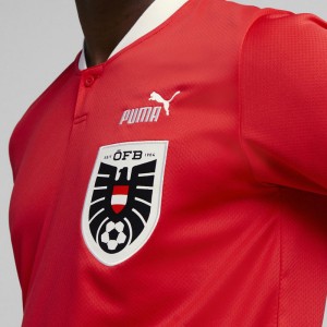 プーマ PUMA オーストリア代表 2022 ホーム 半袖レプリカユニフォーム サッカー レプリカウェア オーストリア代表 22FW(766010-01)