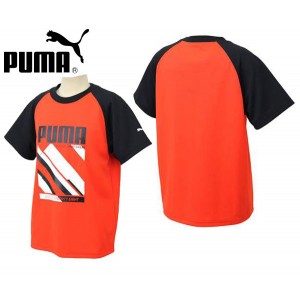 プーマ PUMASU SS TEE (ジュニア)JR Tシャツ(837831)
