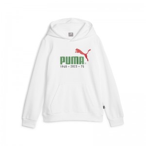 PUMA(プーマ)NO.1 ロゴ セレブレーション フーディースウェット FLスポーツスタイルウェアスウェットシャツ678516