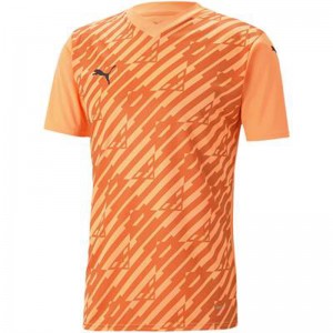 PUMA(プーマ)TEAMCUP グラフィック ゲームシャツサッカーウェアゲームシャツ705758