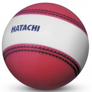 hatachi(ハタチ)ナビゲーションボールGゴルフ競技ボール(bh3851-62)