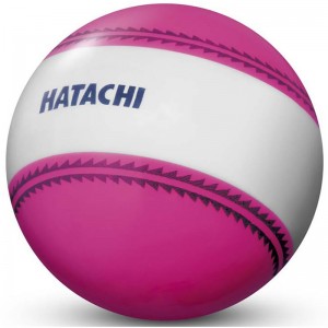 hatachi(ハタチ)ナビゲーションボールGゴルフ競技ボール(bh3851-64)
