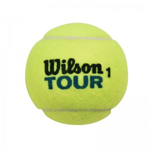 WILSON(ウィルソン)TOUR STANDARD(タンカン)硬式テニスボール硬式テニスボールWRT103800