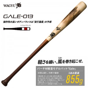和牛JB バーチ材硬式木製バット (Gale)  野球 硬式木製バット (中学硬式 高校 大学社会人 )  22FW(GALE013)