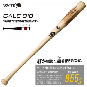 和牛JB バーチ材硬式木製バット (Gale)  野球 硬式木製バット (中学硬式 高校 大学社会人 )  22FW(GALE018)